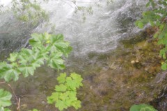 DSCN1705-