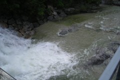 DSCN1706-