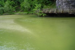 DSCN1707-