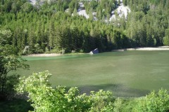 DSCN1711-