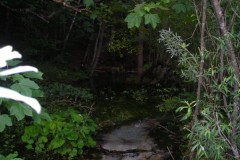 DSCN1716-