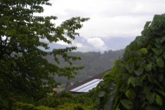 DSCN1734-
