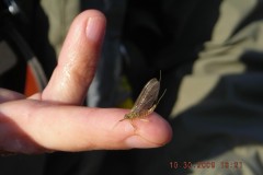DSCN1794-