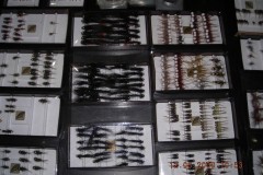 DSCN1808-